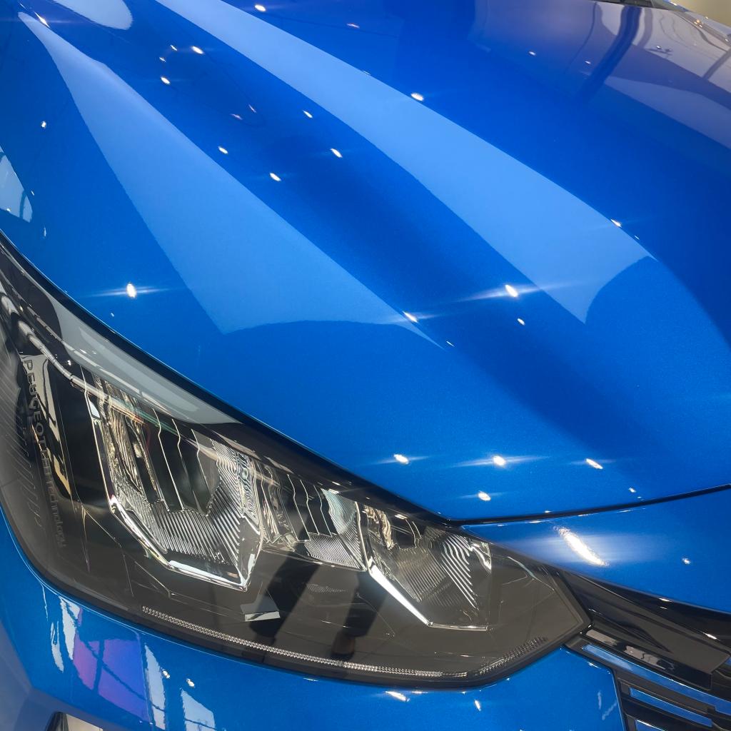 ボディーカラーの意味