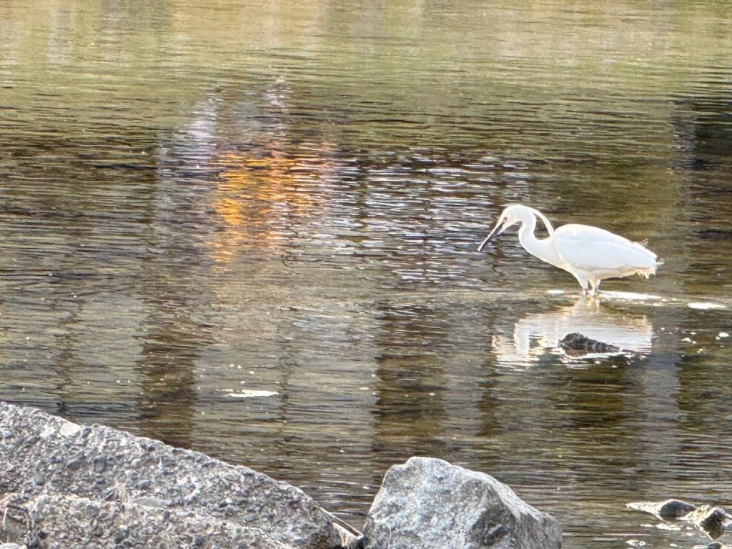 今日から5月です