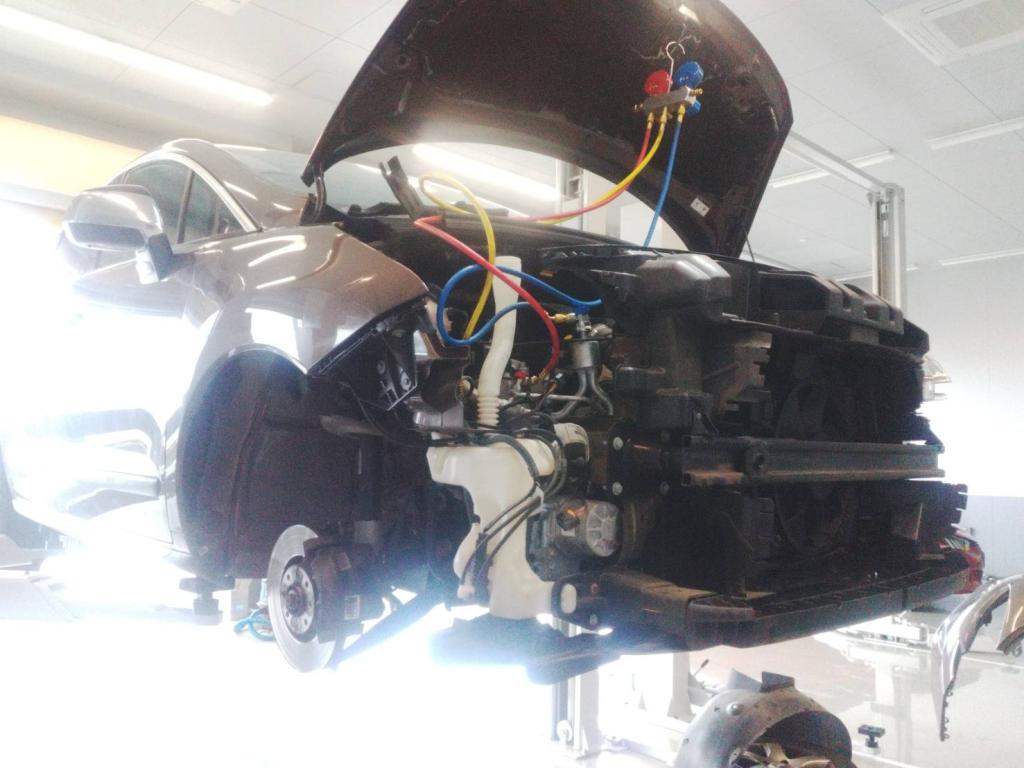 暑くなってまいりました！