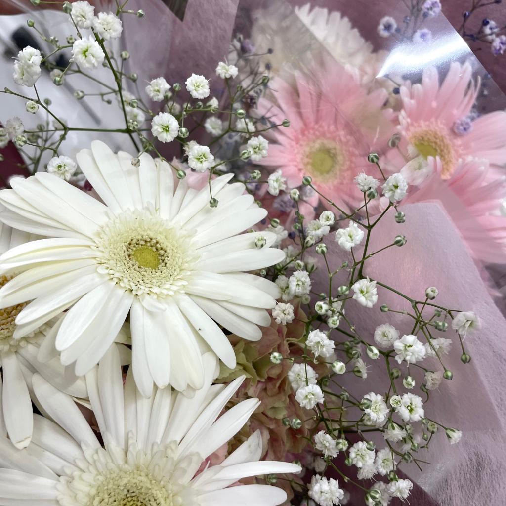プジョーライフ🌷