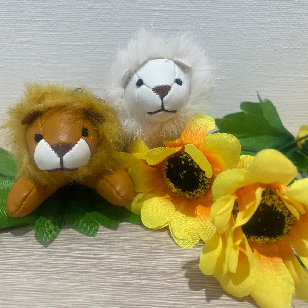 夏仕様🌻