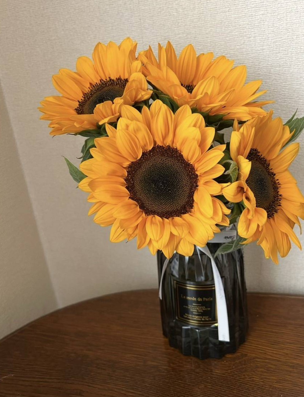 夏といえば🌻🐄