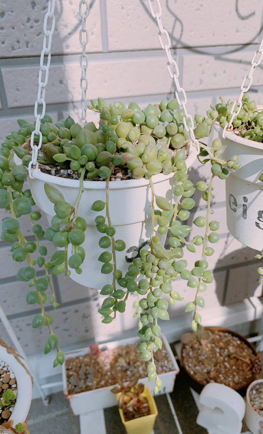 グリーンネックレス🫛