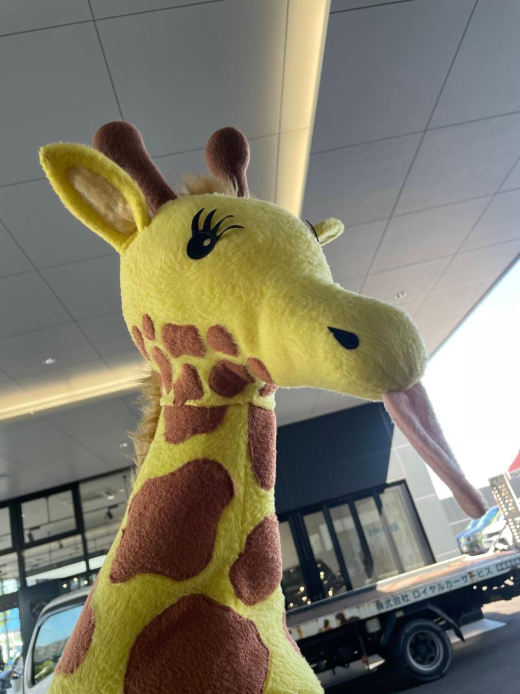 仮装大賞🦒
