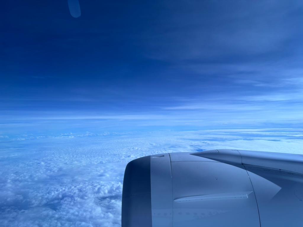 １１月も半月が経ちました