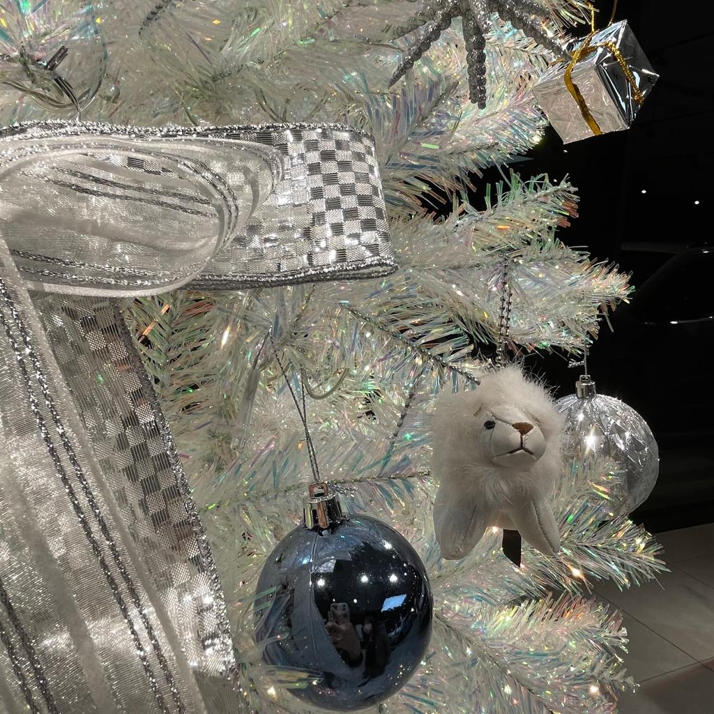 クリスマス仕様🦁🤍