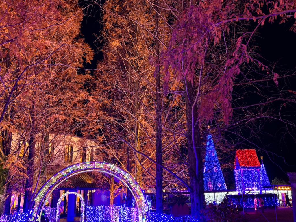 １２月も半月が経ちました