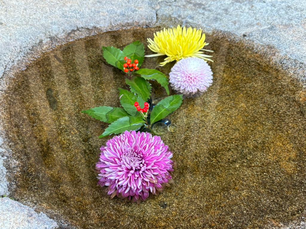 今日から1月です