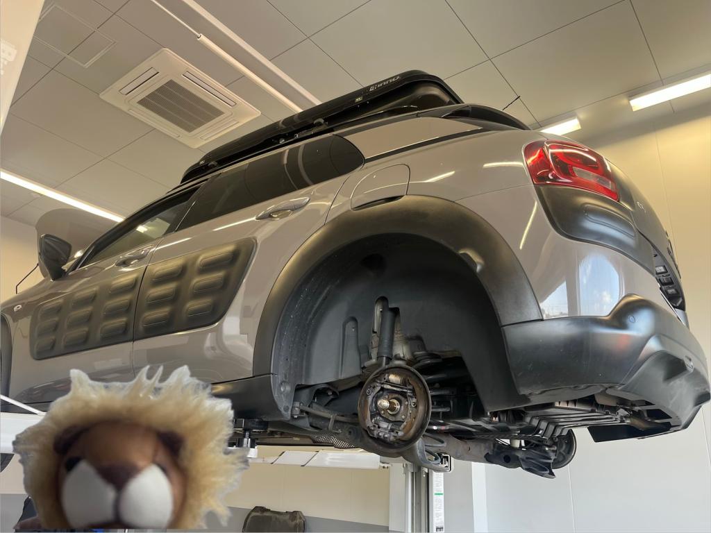 珍しいお車が入庫しました！