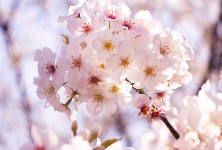 3月も大変お世話になりました。