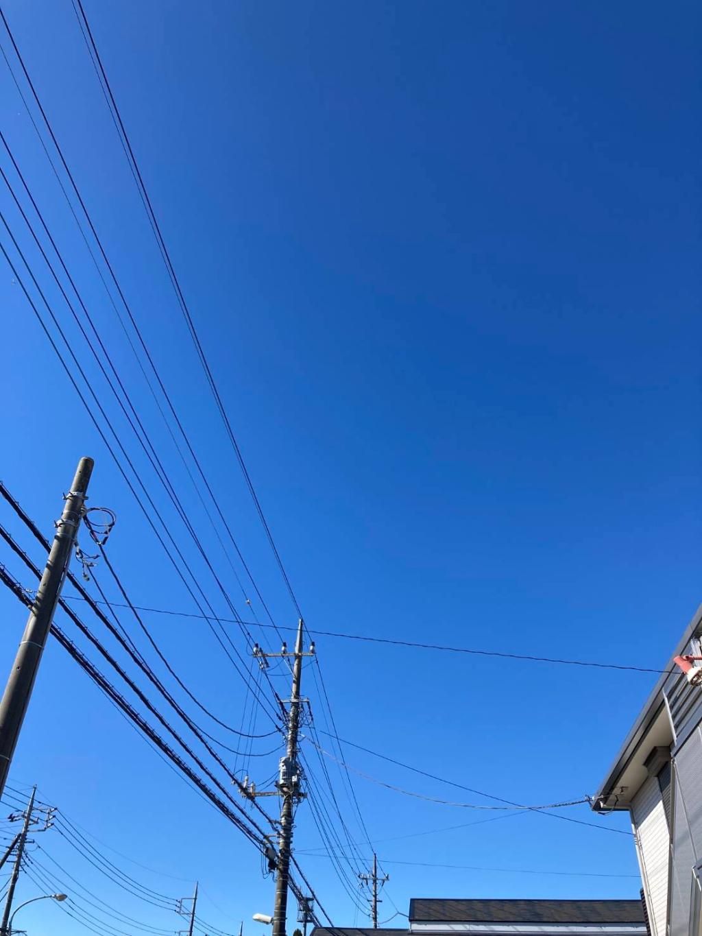 花粉がつらい季節ですね…