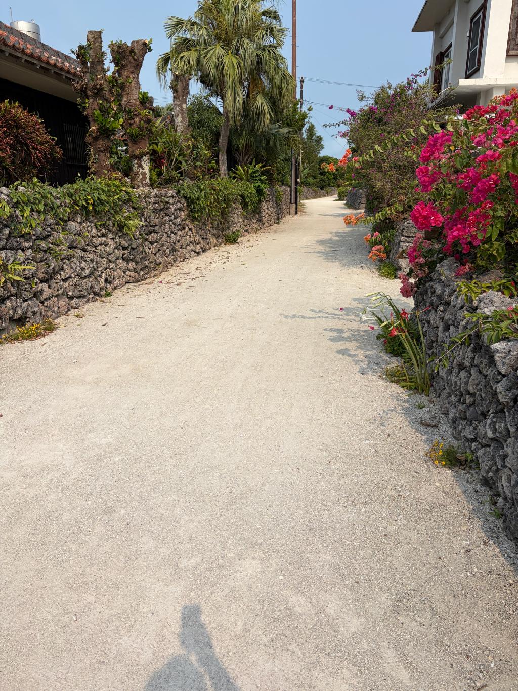石垣島