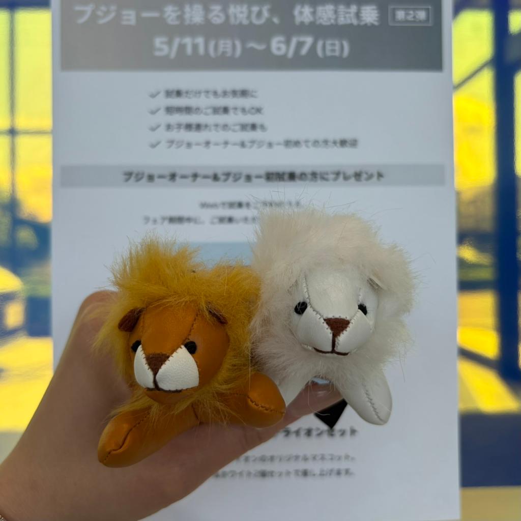 ✨️【プジョーを操る悦び、体感キャンペーン 第2弾】✨️ ⁡