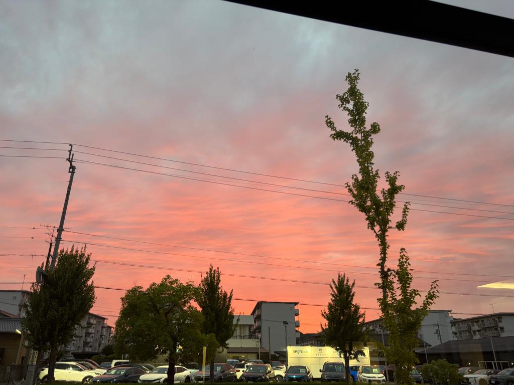 今年も見れました🌄