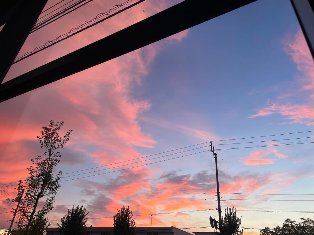 今年も見れました🌄