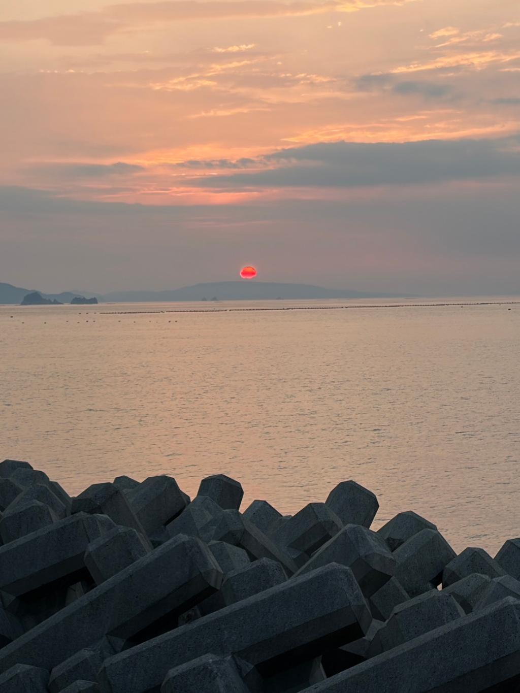高知の鰻