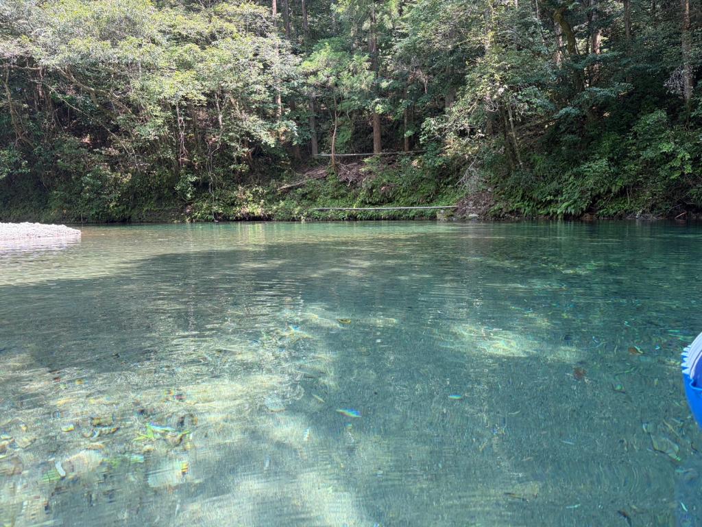 暑気払い