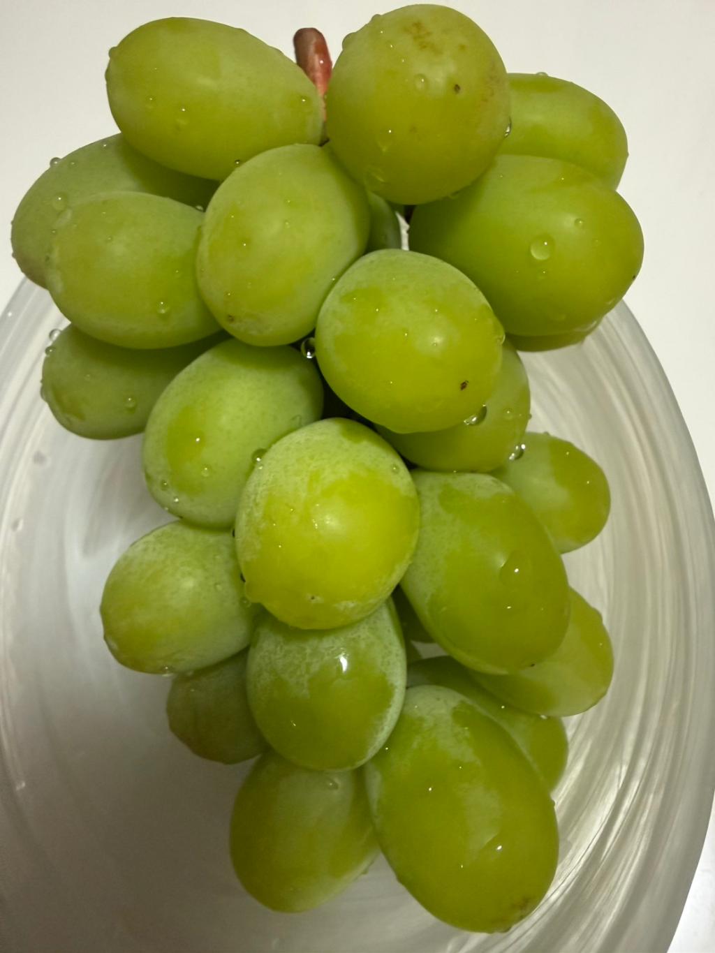 シャインマスカット🍇