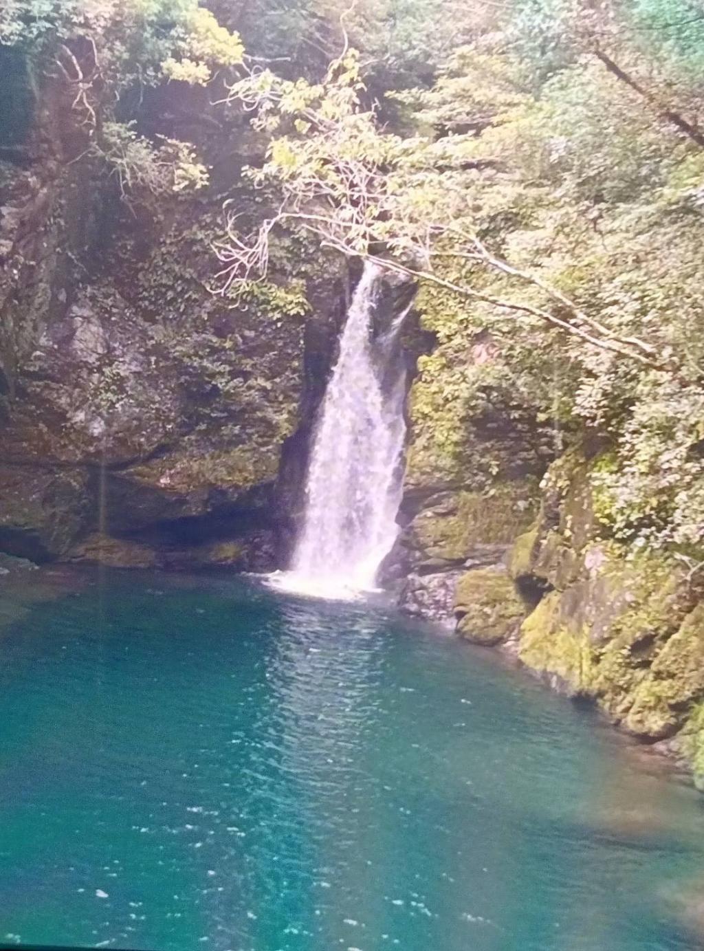 滝を見に行ってきました。