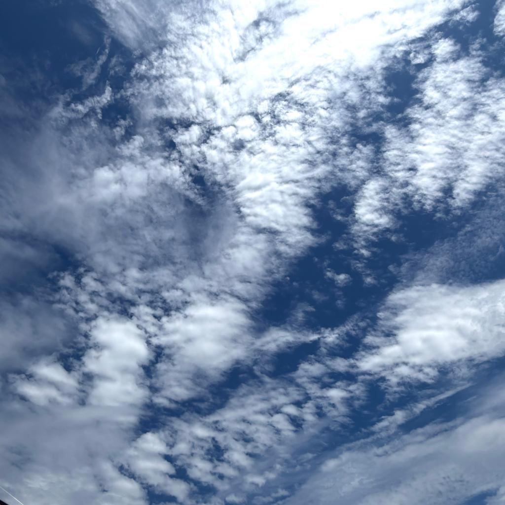 夏が終わります☁️